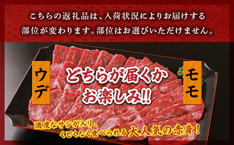 宮崎牛赤身焼肉1kg
