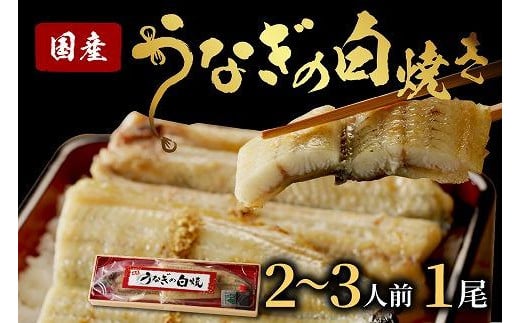 うなぎの白焼き2~3人前（1尾）ウナギ特製タレと山椒付き　うなぎの白焼きセット・うなぎの白焼き・うなぎ１匹　AN00073