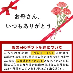【母の日ギフト】田舎みそセット 麦みそ1kg×1袋 合わせみそ1kg×1袋 味噌 母の日 【山門醸造】 i696-m