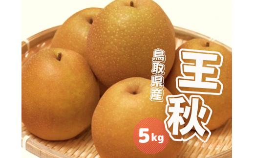 王秋 梨 5kg 鳥取県産 JA米子選果場【10月中旬～10月下旬頃発送】おうしゅう ナシ なし 5キロ 0612