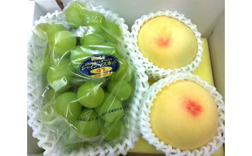 
                  2025年  岡山県産フルーツ詰め合わせ（シャインマスカット1房、桃2個入） | フルーツ 果物 くだもの シャインマスカット マスカット 桃 モモ もも 詰め合わせ セット フルーツ詰め合わせ 岡山 岡山県産 国産 ギフト プレゼント 贈答用 果物 果物セット フルーツセット シャインマスカット 桃 モモ もも
                