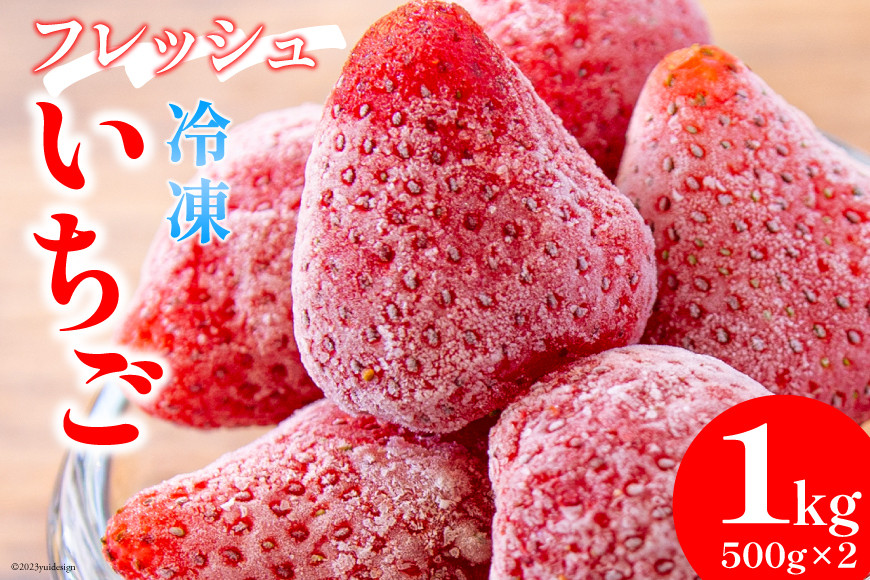 
【訳あり】 果物 フレッシュ 完熟 冷凍いちご 500g×2袋 計1kg [亀の子いちご園 宮崎県 日向市 452060853] フルーツ 苺 イチゴ 完熟 新鮮 国産
