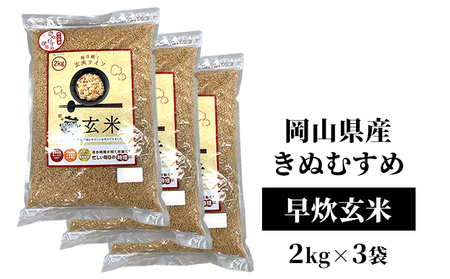 米 令和7年産 早炊 玄米  きぬむすめ 2kg×3袋 岡山県産