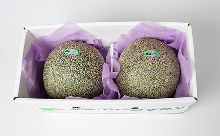 メロン（肥後グリーン）2玉入り 合計約3kg～約4kg 熊本県産メロン 宇城市産メロン 緑肉メロン 国産メロン