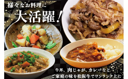 家庭用 松阪牛 小間切れ 200g×3P 定期便 全6回 選べる 内容量 国産 和牛 牛肉 小間切れ ブランド牛 小分け 冷凍 2027年3月発送 令和9年 先行予約 来年 3月 毎月 お届け SS8