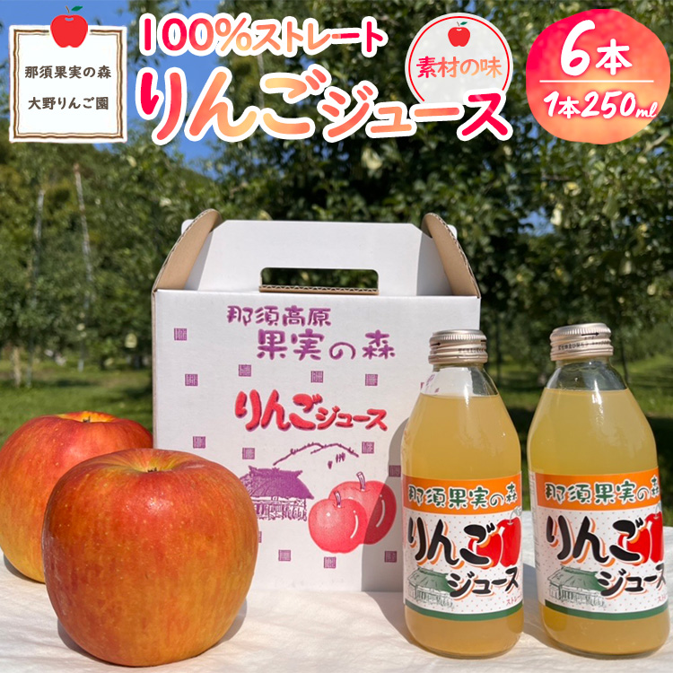 〔P-229〕那須果実の森りんごジュース250ml×6本
