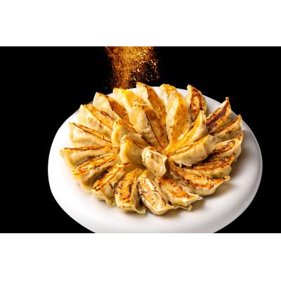 ふるさと納税 岸和田市 【瞬間冷凍:生餃子】黒豚餃子とスパイス餃子のお試しセット 100ケ 合計2kg |  | 02