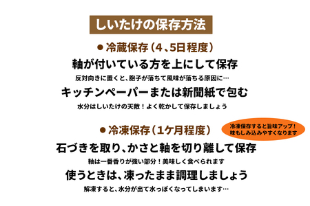 [先行予約 2024年12月より順次発送] 原木 生しいたけ 1kg｜シイタケ 椎茸 国産 産地直送 おんだファーム 甘楽町 [0185]