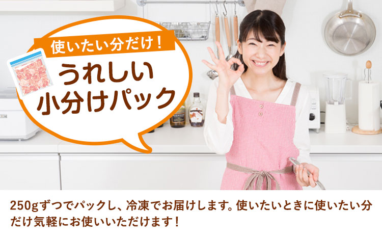 【ふるさと納税】常陸牛切り落とし 1kg (250g×4パック) 株式会社坂東太郎　おにくブッチャーズ《30日以内に出荷予定(土日祝除く)》茨城県 河内町 牛 牛肉 肉 おかず【配送不可地域あり】