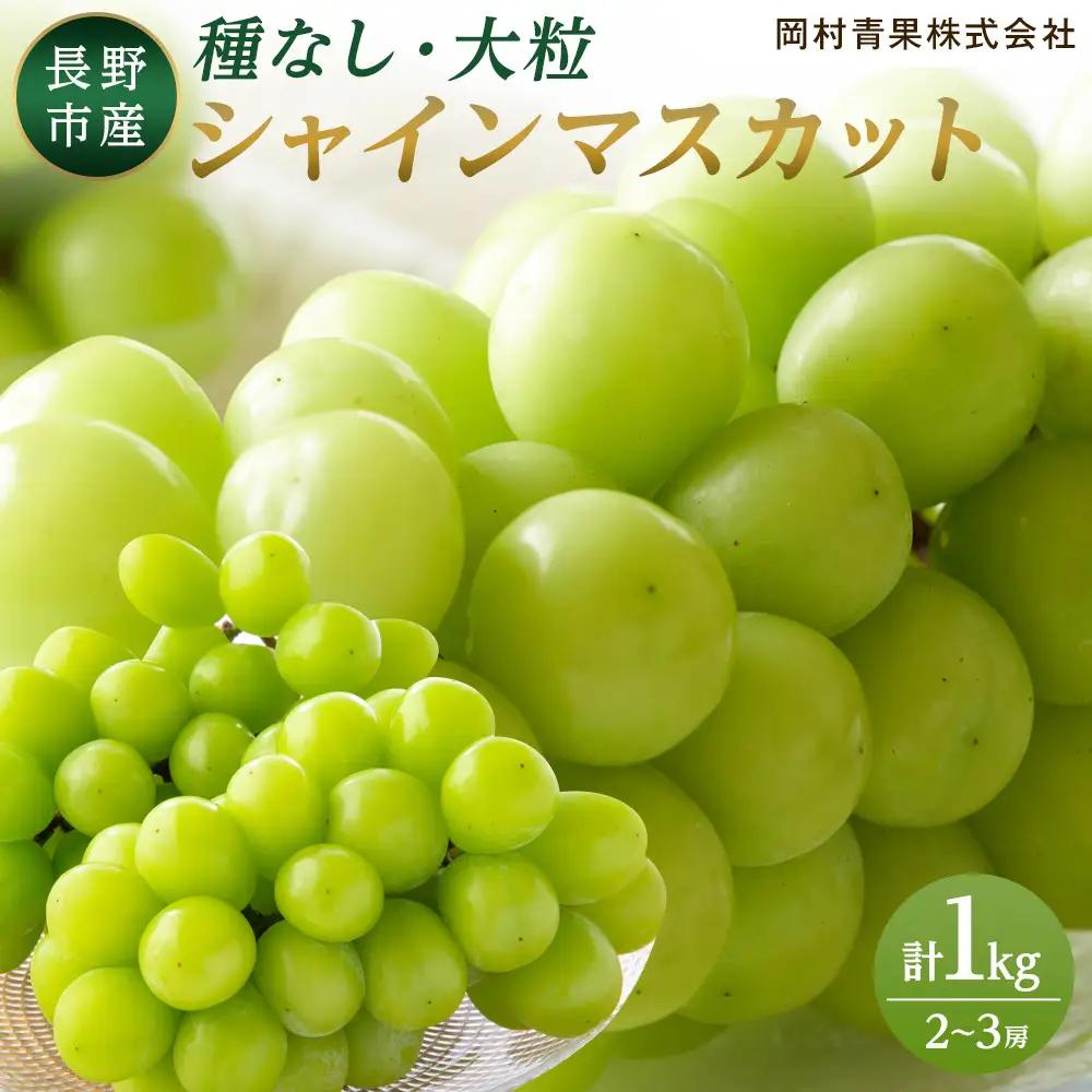 金オ岡村青果株式会社 長野市産 シャインマスカット1kg【2026年9月以降出荷分】フルーツ ぶどう 葡萄 果物 人気 種なし 数量限定 令和8年 産地 長野 | シャインマスカット
