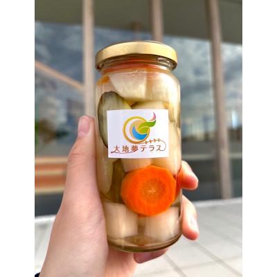 ふるさと納税 三木市 兵庫県三木市からお届け!地元農家の愛情を込めた野菜使用の大地夢テラスピクルス 4種セット |  | 01