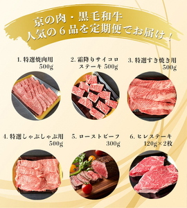 訳あり 京都府産黒毛和牛(A4・A5)人気部位 6回定期便 【焼肉・すき焼き・ステーキ2種・しゃぶしゃぶ・ローストビーフ 計2.54kg】 京の肉 ひら山 味わいづくし ≪定期便 牛 和牛 黒毛和牛 