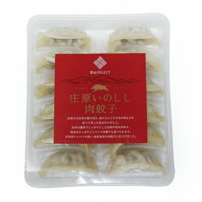 【ふるさと納税】庄原いのしし肉餃子　180g×4パック【配送不可地域：離島】【1695333】