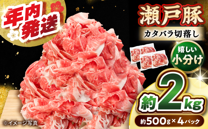 瀬戸豚 カタバラ切落し 2kg / 豚肉 小分け 切り落とし / 瀬戸市 / 関屋精肉店 [BBBQ154]
