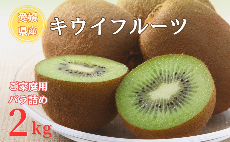 【2026年先行予約】キウイ バラ詰め 2kg  ご家庭用 農園直送 先行予約 【10月中旬から順次発送予定】 キウイフルーツ 愛媛 数量限定  伊予市｜A126