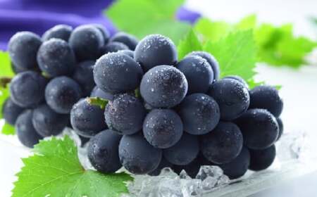 岡山県産 ニューピオーネ 約1.2kg （ 600g×2房 ） ぶどう ブドウ 葡萄 種なし 種無し くだもの 果物 果実 フルーツ 国産 【 2026年8月下旬～9月下旬発送予定 】