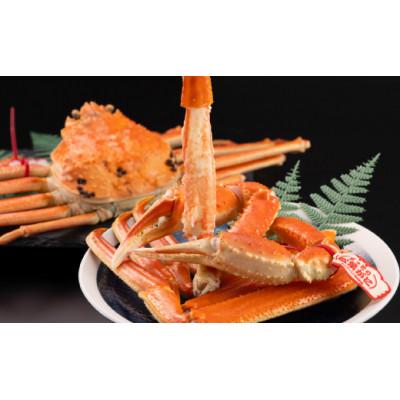 ふるさと納税 北栄町 早期受付　鳥取県産タグ付きボイル松葉ガニLL　1枚【2026/10/31までのお申し込み分】 |  | 02