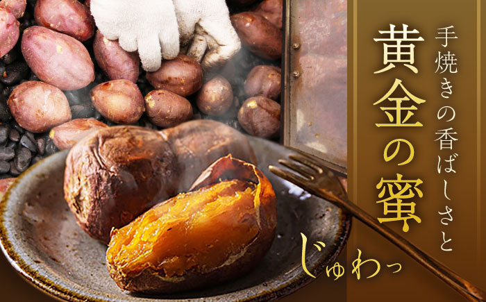 【6回定期便】【3年連続日本一】焼き芋 ごと芋プレミアム 350g×4袋 五島市/ごと[PBY053] レンジで簡単 サツマイモ おやつ 小分け さつまいも 芋
