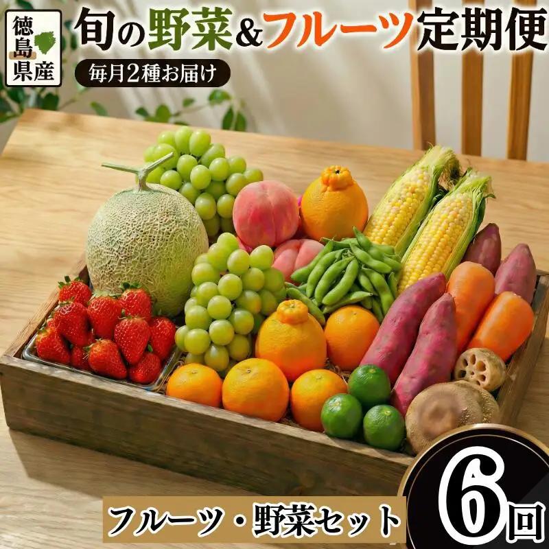 フルーツ 野菜 定期便 6回 定期