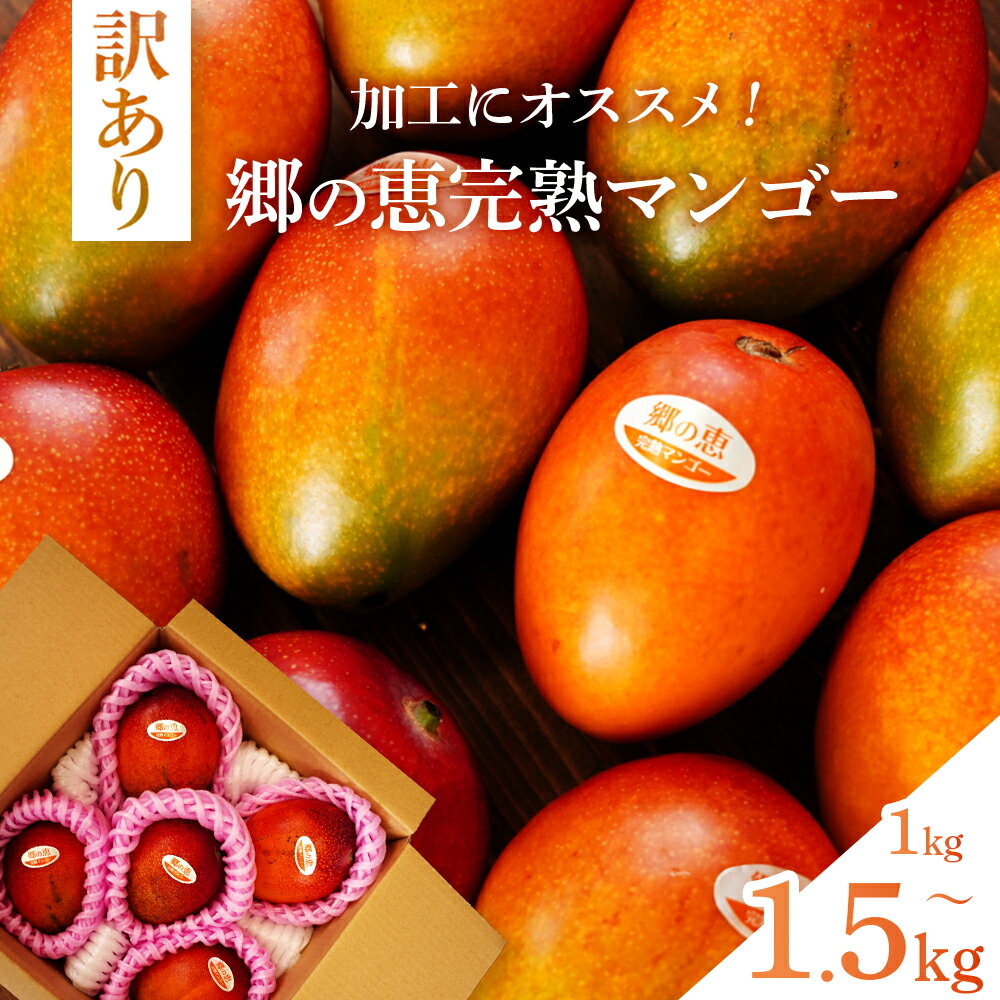 【ふるさと納税】 【 訳あり 】大崎 完熟 マンゴー「 郷の恵 （ さとのめぐみ ） 」 加工用マンゴー 1kg 1.5kg | 訳あり マンゴー スムージー サラダ アイス シャーベット 果物 くだもの フルーツ 果実 ふるさと納税 鹿児島 大崎町 ふるさと 人気 送料無料