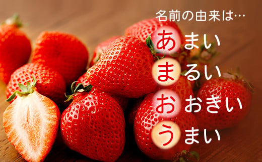 【アフター保証】うるう農園 あまおう DX等級 4パック （約1140g）【2026年12月上旬～2027年1月下旬発送予定】 いちご イチゴ 苺 フルーツ 果物