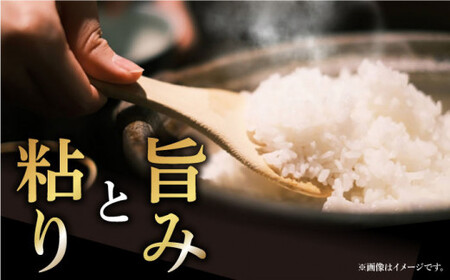 【令和7年度産新米】おぢかんうまか米 小値賀町産コシヒカリ 3kg 精白米 コシヒカリ [DAB010] 