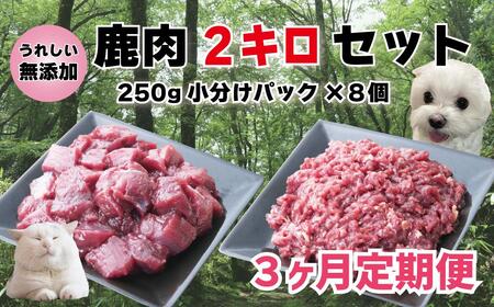 【3回定期便】 森のジビエ for PET 鹿肉 2kg ペットフード 犬 猫 A-JK-B02H