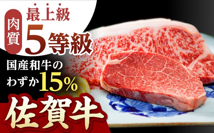 佐賀牛 A5 シャトーブリアンとサーロインの極上セット 計500g【山下牛舎】[HAD145]ヒレ シャトーブリアン 赤身 牛肉