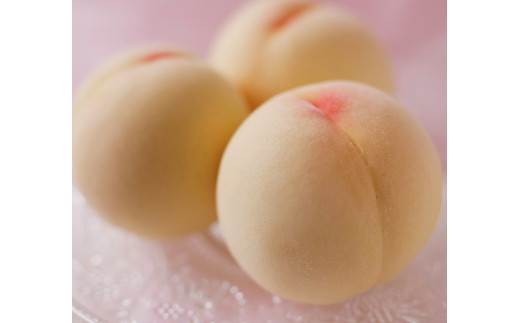 清水白桃　約1.3kg ５玉　《2025年7月下旬-8月上旬頃出荷》