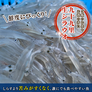 生シラウオの沖漬け600g(100g×6P)【配送不可地域：離島】【1214804】