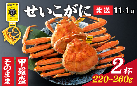 【先行予約】選べる！美味しさ直送【成前特選】 せいこがに（220g～260g）×2杯【11月～1月発送】 [E-028045]/ せいこがに
