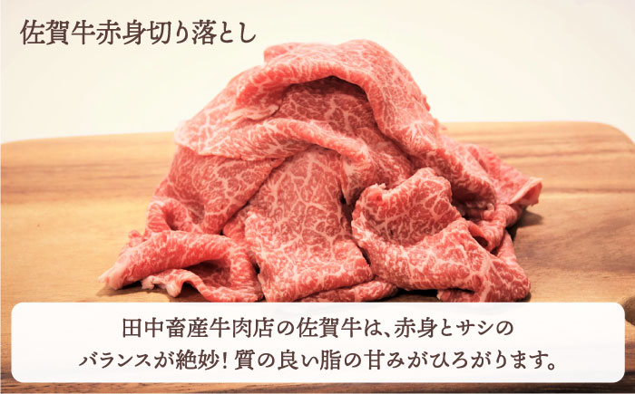 【切り落としと煮込み肉】たっぷり 佐賀牛 普段使いセット【田中畜産牛肉店】  [HBH032]