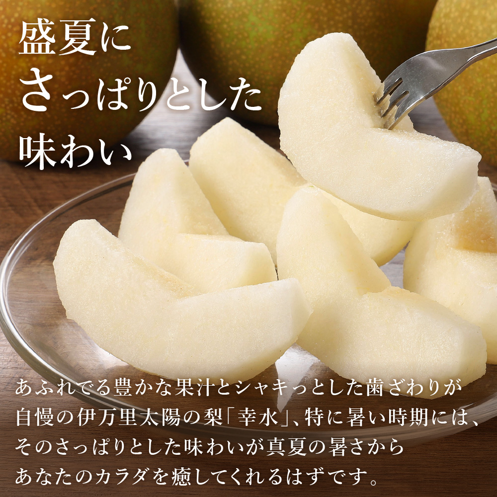 【2025年産先行予約】伊万里梨 「幸水」 約5kg ご自宅用におすすめ B160