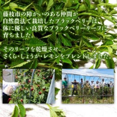 ふるさと納税 藤枝市 ブラックベリーリーフティー3種(さくら・しょうが・レモン)各10個　計60g |  | 02