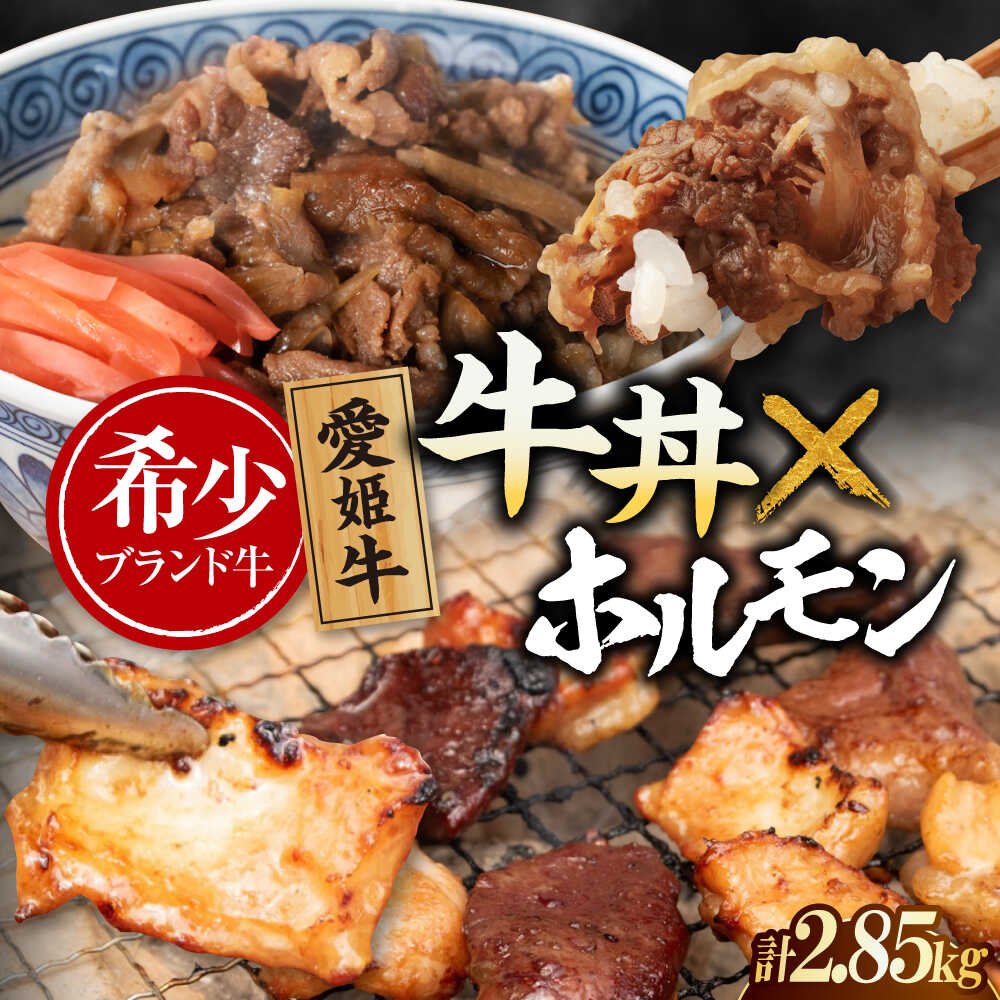 【ふるさと納税】 牛肉 【冷凍】　愛姫牛 肉屋のこだわりお惣菜セット 牛丼×9食とミックスホルモン×1,500g 計2,85kg 大洲市/木村屋精肉店[AGCC074]牛肉 和牛 牛 国産 国産和牛 愛媛県産 大洲市産 人気 おすすめ 簡単 おいしい お肉 肉 国産肉 焼肉 送料無料 お取り寄せ