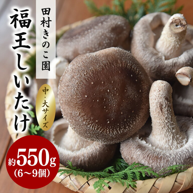 【ふるさと納税】【先行販売/10月中旬～発送】福王しいたけ 中～大サイズ 約550g しいたけ 椎茸