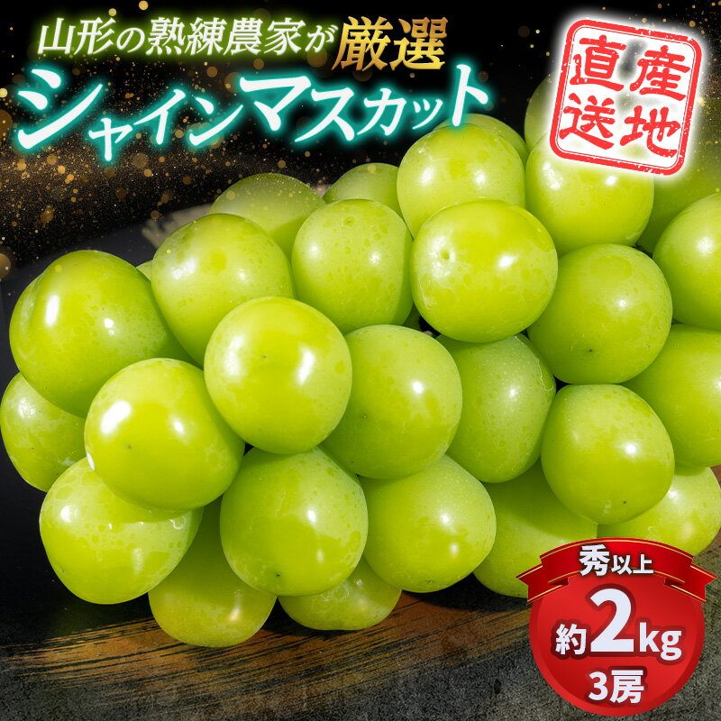 【ふるさと納税】大人気！【こんのぶどう園】山形本沢産 高級ぶどう シャインマスカット 3房【令和8年産先行予約】FS25-721 フルーツ くだもの 果物 山形 山形県 山形市 ぶどう 葡萄 ブドウ セット 2026年産