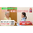 【ふるさと納税】ヤクルト配達見守り訪問(9週間/Yakult1000 63本)横芝光町にお住まいの方【1408825】