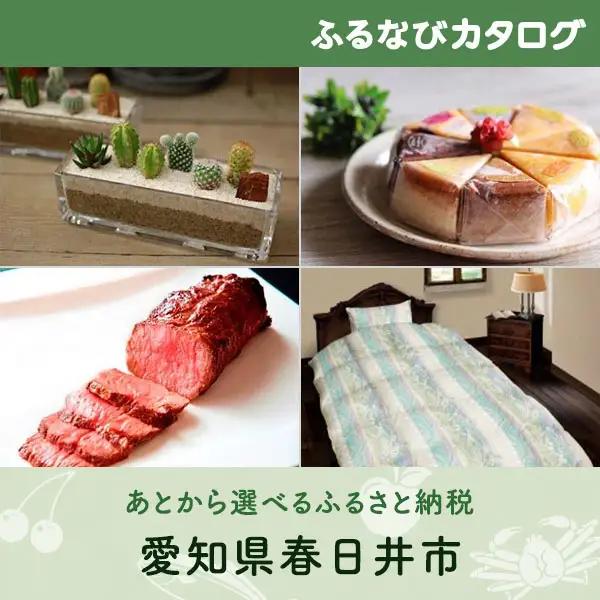 【有効期限なし！後からゆっくり特産品を選べる】愛知県春日井市カタログポイント
