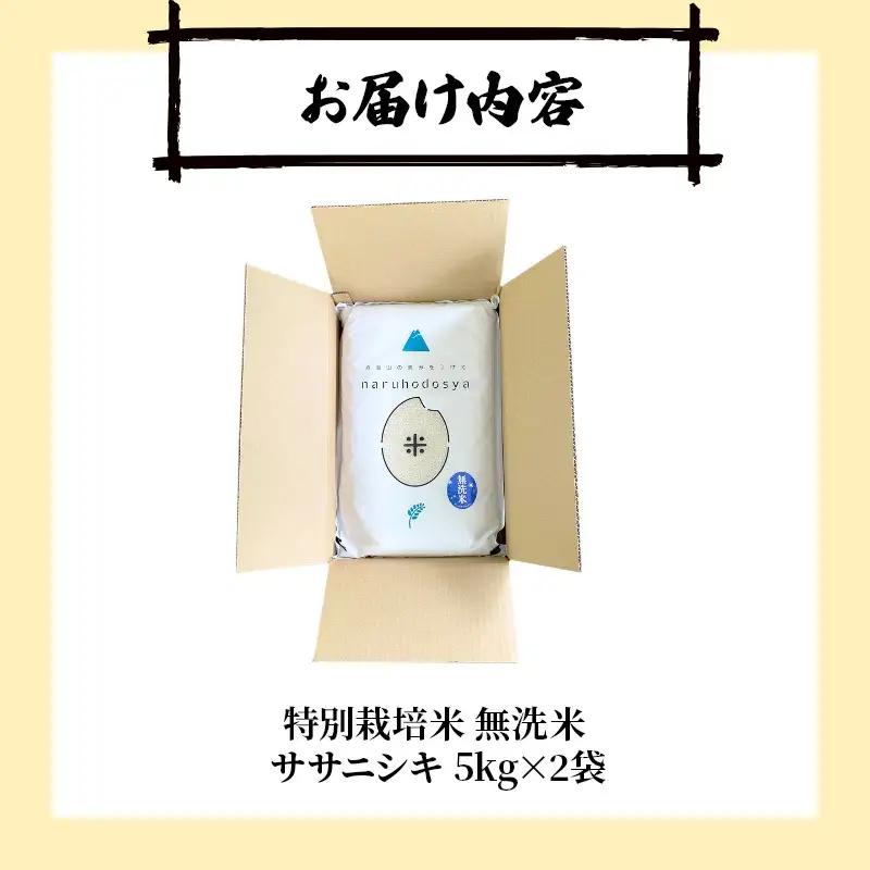 ササニシキ 特別栽培米 無洗米 秋田県産 ササニシキ【10kg(5kg×2袋)】【先行予約】