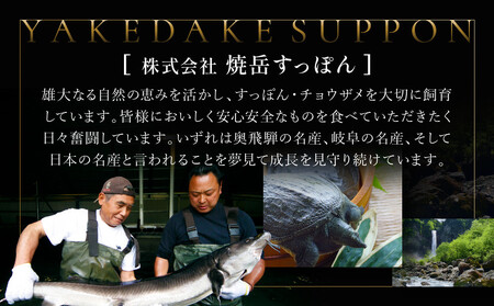 湯けむり美人すっぽんスープ　4人前｜和風惣菜 食品 人気 コラーゲン 栄養 伝統 日本料理 煮込み 温まる 冬季 スープ料理 だし 焼岳すっぽん HE005
