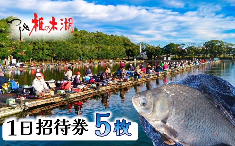 
                  釣り堀 体験 ヘラブナ へら鮒 釣り 埼玉 チケット 入場券 5枚 レジャー ふな 釣り体験 アクティビティ 観光 関東 フナ 鮒 魚 魚介 利用券 家族体験 こども 家族 ファミリー 川 湖 プラン スポーツ アウトドア 自然 つり処椎の木湖 埼玉県 羽生市
                