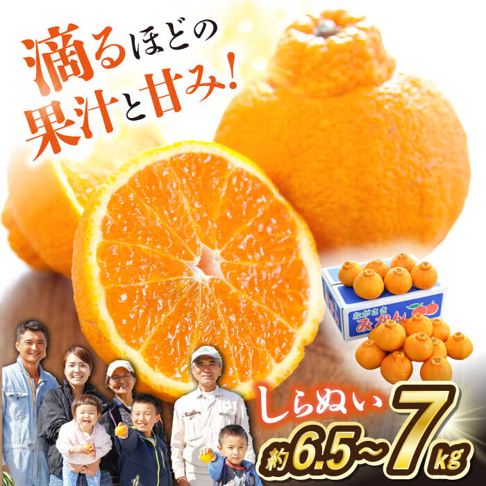 【ふるさと納税】【3月より順次発送】【春柑橘】 不知火 （ しらぬい ）約6.5～7kg＜川添みかん園＞ [CCT010] でこぽん デコポン みかん ミカン 蜜柑 果物 柑橘 デザート 剥きやすい 甘味 果汁 おやつ お土産 プレゼント 贈答 ギフト 甘い