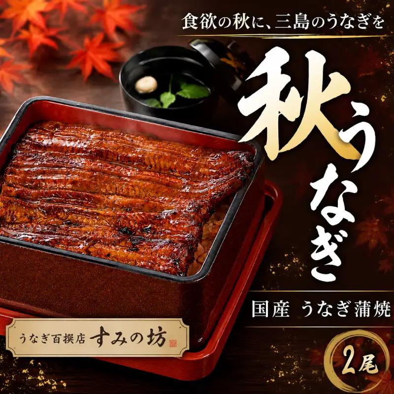 【秋うなぎ】 国産 うなぎの蒲焼き 2尾 すみの坊
