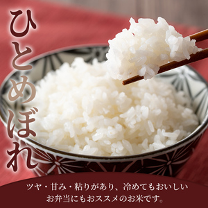 ＜先行予約！2025年10月から発送開始予定＞≪令和7年産≫【6回定期便】ひとめぼれ 計60kg (10kg×6回配送) 登米市産 お米 おこめ 米 コメ 白米 ご飯 ごはん おにぎり お弁当 6か月