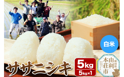 【白米】秋田県由利本荘市産 ササニシキ 5kg（5kg×1袋）令和6年産