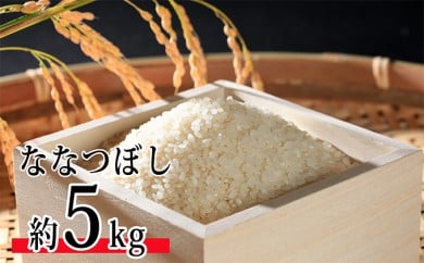 令和5年度米 ななつぼし 5kg 北海道 今金米 米 白米 米俵 こめ おこめ F21W-270