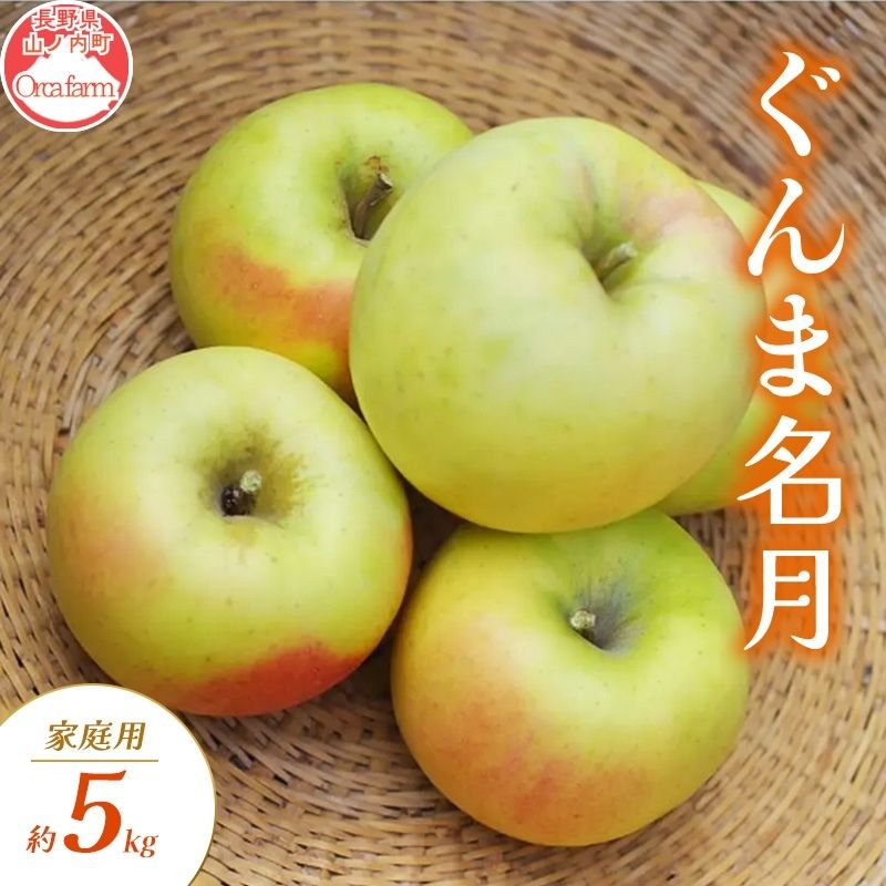 【ふるさと納税】【2026年10月～発送】ぐんま名月 家庭用 約5kg りんご リンゴ 林檎 果物 フルーツ 長野県 長野 山ノ内町　お届け：2026年10月下旬～11月下旬