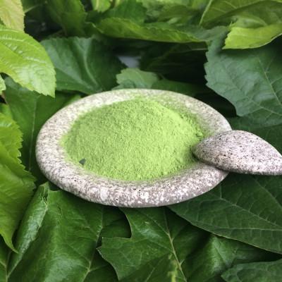 ふるさと納税 桐生市 【ぐんまの桑茶】パウダータイプ・緑茶タイプ・ほうじ茶タイプ　ギフトセット |  | 02