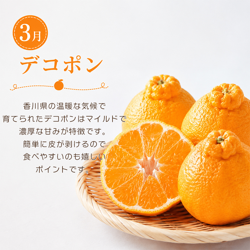定期便 3回 いちご 苺 デコポン 野菜 セット さぬき姫 旬 季節 秋 果物 フルーツ 旬 旬のフルーツ 贈答用 ギフト プレゼント 香川県 丸亀市